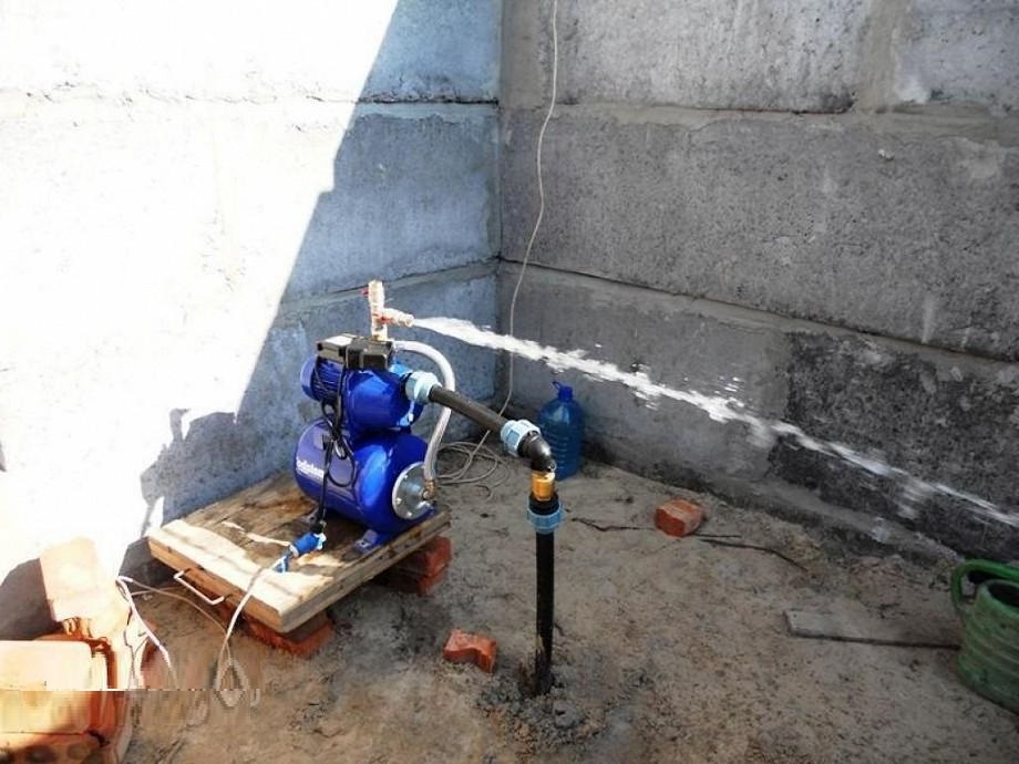 гидрофор абисинка