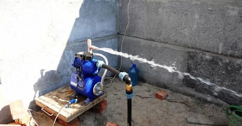 гидрофор абисинка